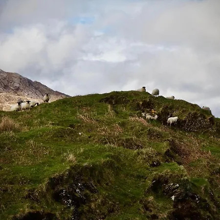 The Baahouse شقة *