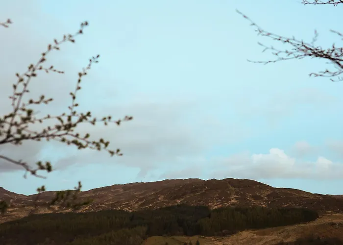 The Baahouse * 多尼戈尔