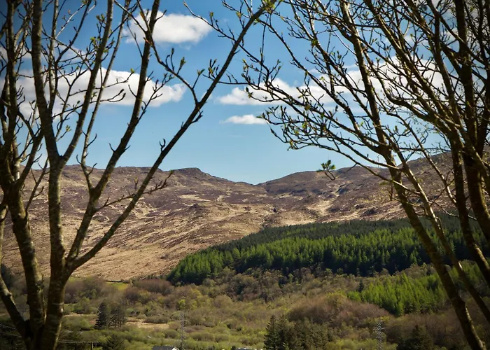 The Baahouse * Donegal Town