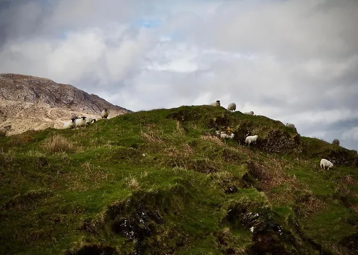 The Baahouse 公寓 *